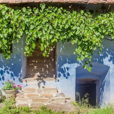 Experience Transylvania Viscri 63B 외부 사진
